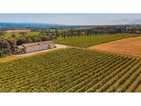 vente locaux professionnels 0 pièces 340 m² à bram (11150)  315 000 €