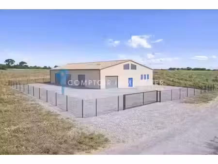 vente locaux professionnels 0 pièces 280 m² à le cailar (30740)  305 000 €
