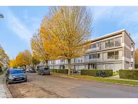 appartement te huur in edegem met 2 slaapkamers