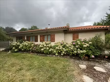 maison à louer