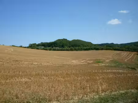 terrain agricole