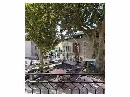 ensemble immobilier : appartement + local commercial