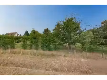 lorris 45260 - terrain constructible très bien situé