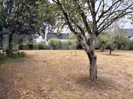 vente terrain 637 m² ancenis-saint-géréon (44150)