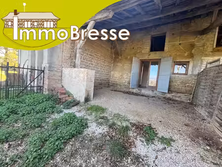 domsure - a louer appartement type 2 - 44 m² - cour privative