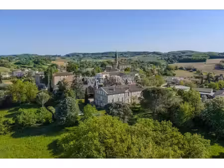 château à vendre dans le quartier grand centre