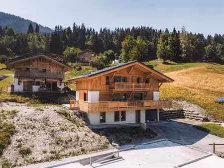maison de luxe à vendre à praz-sur-arly