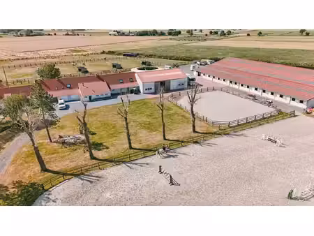 alveringem - uniek gelegen professionele hippische eigendom