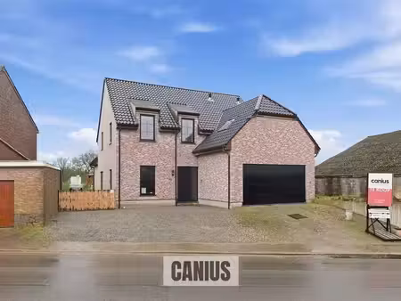 maison à vendre à sint-truiden € 769.000 (lm5ii) - canius real estate | zimmo