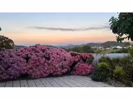 vente maison 10 pièces 261 m² à hasparren (64240)  770 000 €