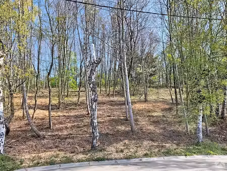 bois de la pierre à wavre - terrain à bâtir