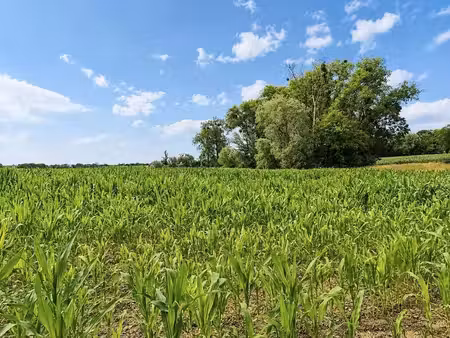 terrain à vendre à haillot € 237.900 (lr5ur) - comptoir foncier s.a | zimmo