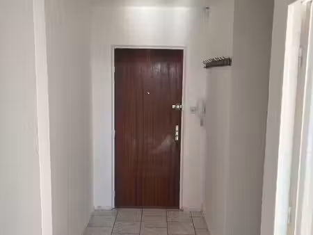 immobili