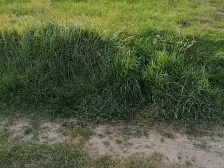 vente terrain à plouhinec (56680) : à vendre / plouhinec