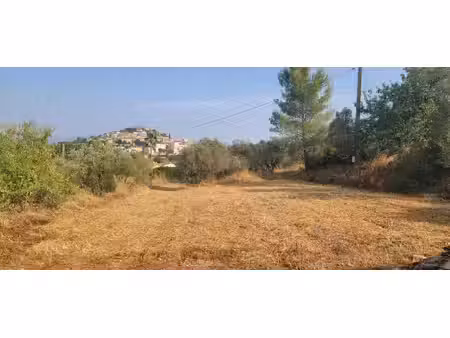 terrain constructible