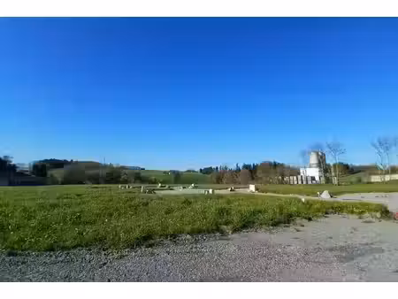vente terrain 524 m² vitré (35500)