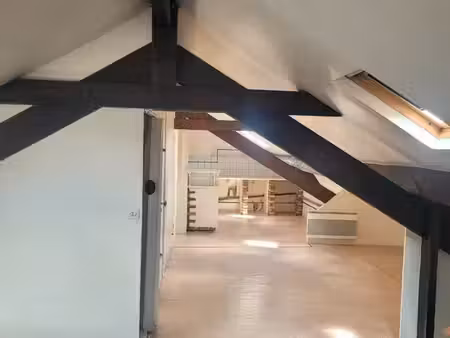 appartement mansardé centre soisy sur seine