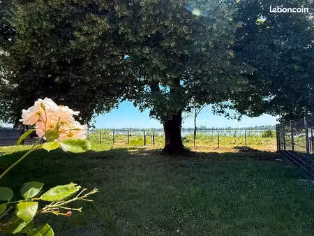 maison rénovée 160 m² – 4 chambres – jardin privatif 800 m² – vue dordogne