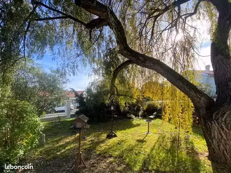 maison individuelle avec grand terrain arboré