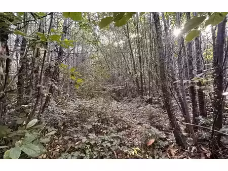 vente terrain 1050 m² à marsac-sur-l'isle (24430)  50 000 €