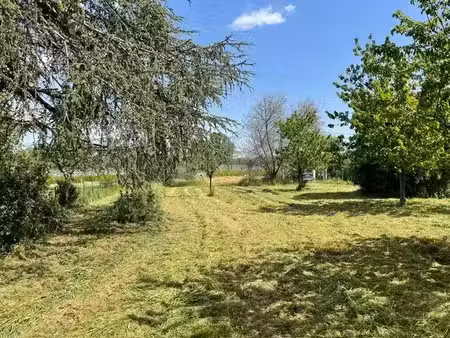 vente terrain 559 m² à noe (31410)  56 000 €