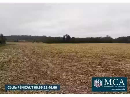 vente terrain 839 m² à mimbaste (40350)  63 000 €