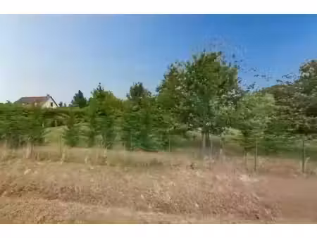 vente terrain 4300 m² à lorris (45260)  70 000 €