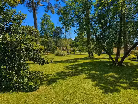 vente terrain 1800 m² à chancelade (24650)  80 000 €