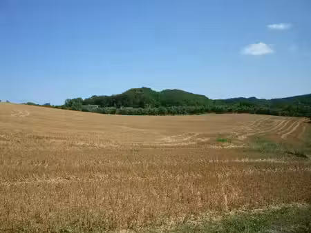 vente terrain 80000 m² à dausse (47140)  79 000 €