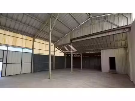 local professionnel 420 m²