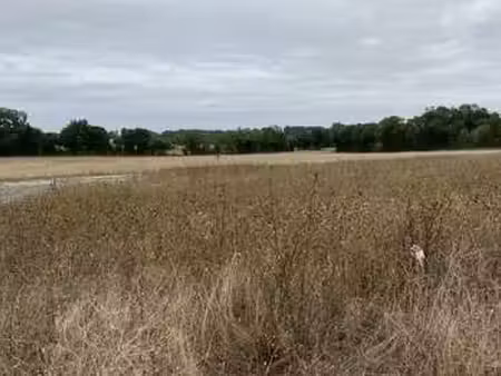 vente terrain à vallans (79270) : à vendre / vallans