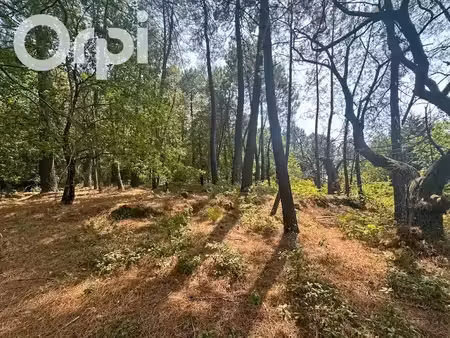 vente terrain 1800 m² à ailhon (07200)  100 000 €