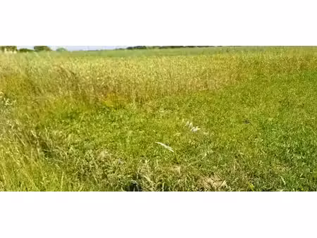 vente terrain 625 m² à bretx (31530)  82 000 €