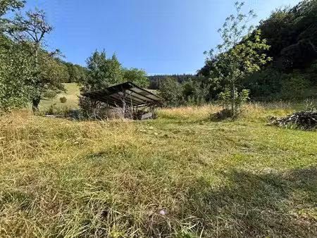 vente terrain 792 m² à chevenoz (74500)  135 000 €