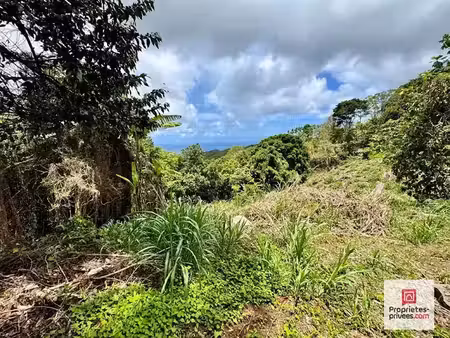 vente terrain 2480 m² à sainte luce (97228)  140 000 €