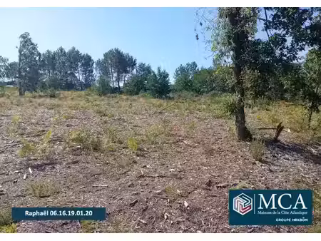 vente terrain 400 m² à salles (33770)  129 000 €