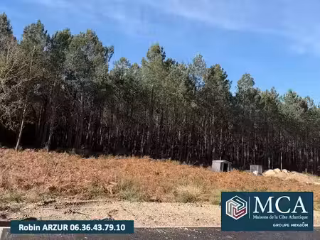 vente terrain 850 m² à vielle-saint-girons (40560)  135 000 €