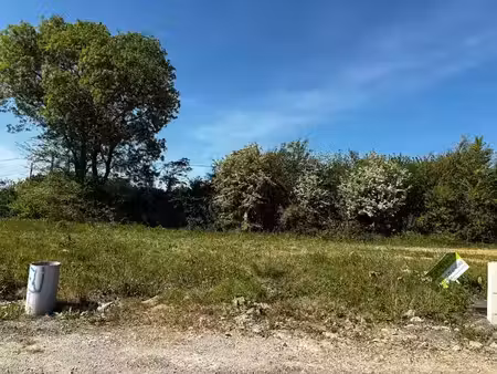 vente terrain 440 m² à saint-gilles-croix-de-vie (85800)  139 999 €