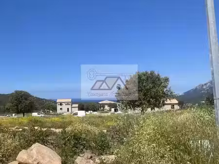 vente terrain 527 m² à calenzana (20214)  144 000 €