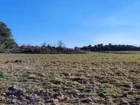 vente terrain 1292 m² à montesquieu-des-albères (66740)  184 500 €