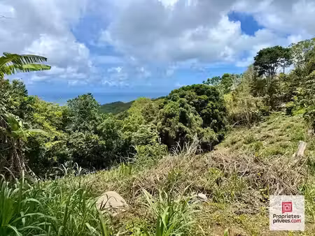 vente terrain 5730 m² à sainte luce (97228)  318 000 €