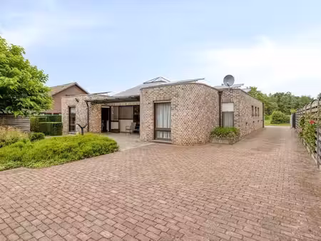 maison à vendre à meerhout € 458.000 (lr64x) - bosman vastgoed | zimmo