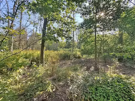 terrain situé au calme (env. 1 010 m²) à vendre à wuustwezel