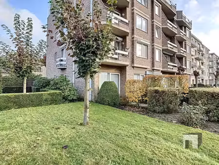 appartement à louer à tessenderlo € 925 (kk48k) - immo tessenderlo | zimmo