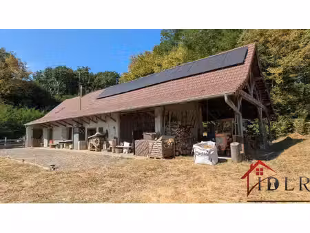 réseau idlr