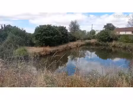 terrain étang eau et électricité
