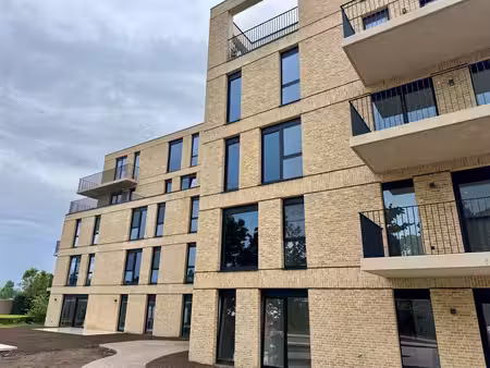 appartement à louer à moederplein 12 lier (rbw73331)