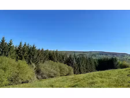 beau terrain à bâtir dans une rue cul-de-sac