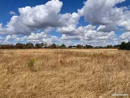 terrain agricole