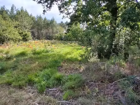 terrain de loisir